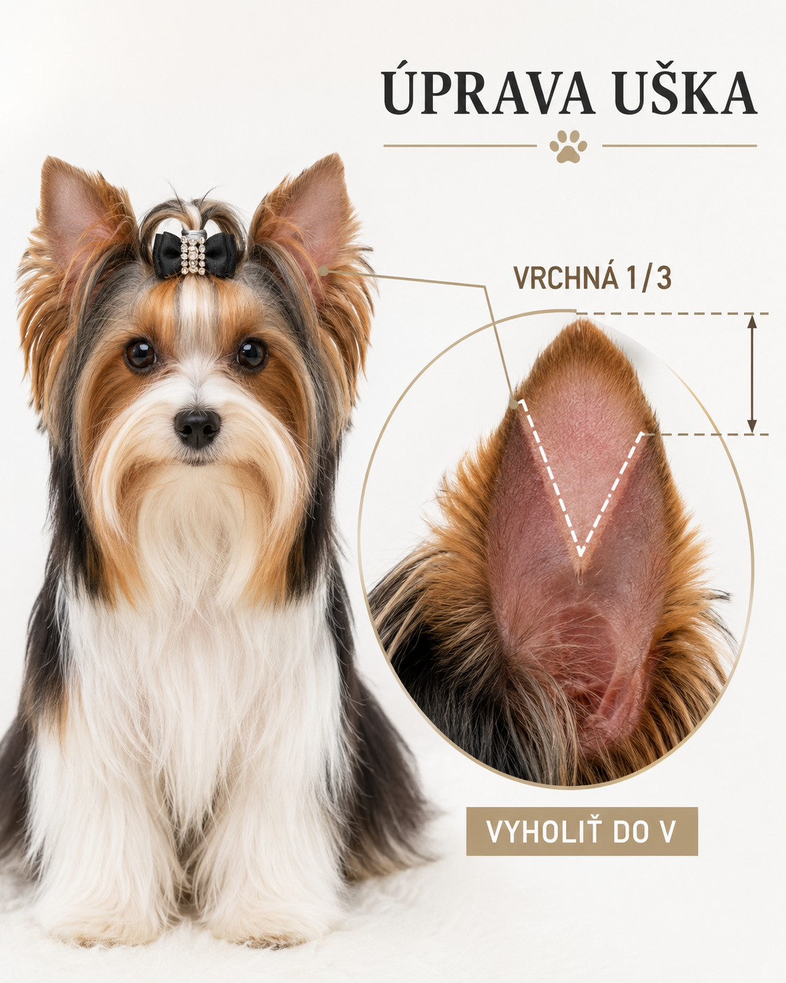 ChatGPT Image 9. 9. 2026, 07_06_47